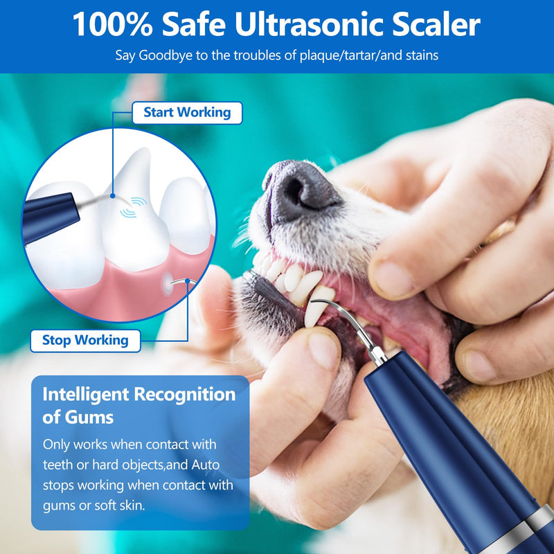 Dog Plaque Remover for Teeth,Pet Ultrasonic Tooth Cleaner,Teeth Cleaning Kit -Tartar Remover for Teeth Stains for Dogs and Cats (Blue) Blue - BeesActive Australia
