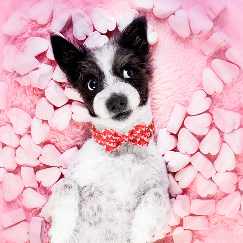 Unique Style Paws Valentine's Day Dog Collar with Bow Love Heart Cotton Dog Collars Gift Wedding for Small Medium Large Dogs Red pink love - BeesActive Australia