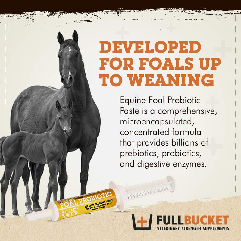 Foal Probiotic Paste (Single) One Size - BeesActive Australia