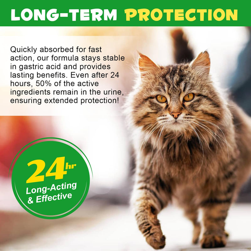Antibiotics for Cats, Natural Antibiotic Drops Supports Immune & Allergy & Itch Relief, Vitamins Herbal Supplement, Pet Supplies Cats UTI Antibiotics, Chicken Flavor - 2 fl oz / 60ml