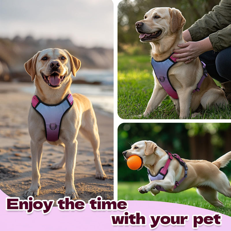 No Pull Dog Harness, Reflective Adjustable Dog Vest with Front/Back Clip Easy Control Handle for Medium Sized Large Small Dogs Walking Training Running(Small,Red) Red - BeesActive Australia