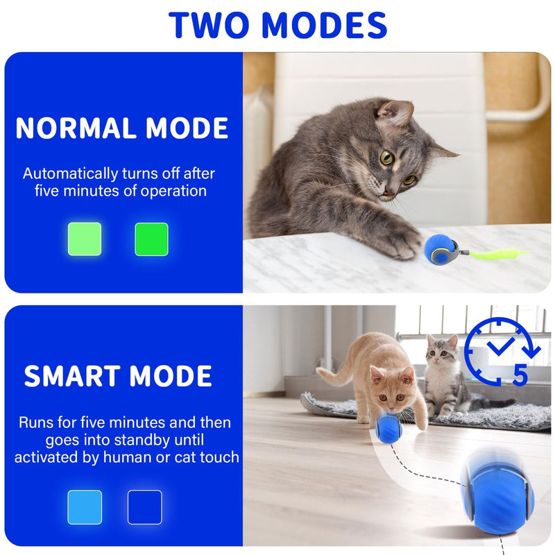 Interactive Cat Ball Toy with Feather, Speedy Tail 2.0 cat Toys, Smart Cat Toys Ball for Indoor Cats, Motion Activated Automatic Cat Toy Ball, USB Rechargeable Cat Toys, Blue - BeesActive Australia