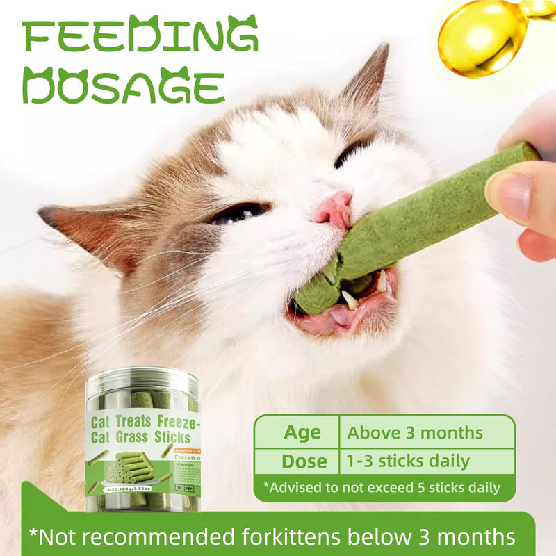 Cat Natural Grass Teething Sticks 100g, Cat Kitten Chew Sticks for Hairball Removal, Dental Care, Increase Appetite, Catnip Sticks Toys Cat Nip Treat Toys Edible Kitty Toys for Indoor Cats Kittens - PawsPlanet Australia