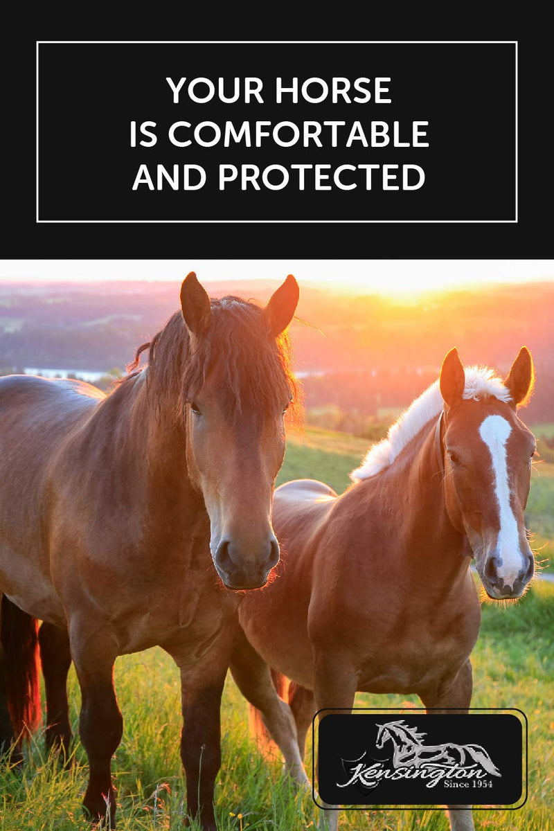 Kensington Signature Fly Mask with Removable Nose — Protects Horses Face and Nose from Biting Insects and UV Rays While Allowing Full Visibility — Ears and Forelock Able to Come Through The Mask Large 121 - Deluxe Black - BeesActive Australia