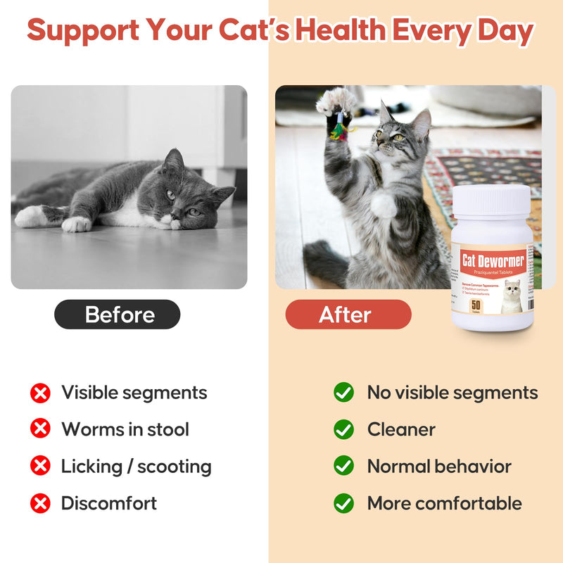 Broad Spectrum Cat and Kittens Dewormer for tapeworms, hookworms, roundworms. | 50 Tablets