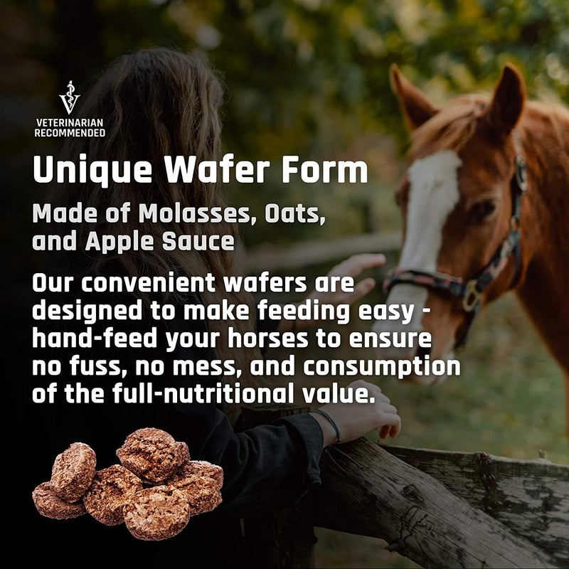 Majesty's Flex XT Wafers - Superior Horse / Equine Joint Support With Increased Supplement Levels - Glucosamine, MSM, Yucca, Vitamin C - 30 Count (1 Month Supply) - BeesActive Australia