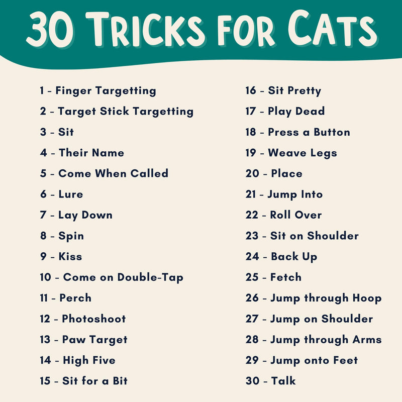 The Click Crusade (Cat Training Card Game Guide to Clicker Training for Cats for Teaching Tricks, Improving Communication and Bonding with your Kitten (Clicker not included) Main Deck - BeesActive Australia