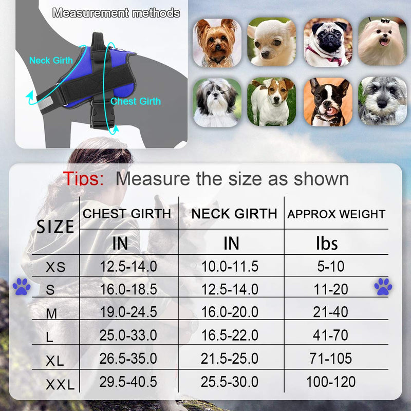 Bolux Dog Harness, No-Pull Reflective Dog Vest, Breathable Adjustable Pet Harness with Handle for Outdoor Walking - No More Pulling, Tugging or Choking (Blue, S) Small (Pack of 1) Blue - BeesActive Australia