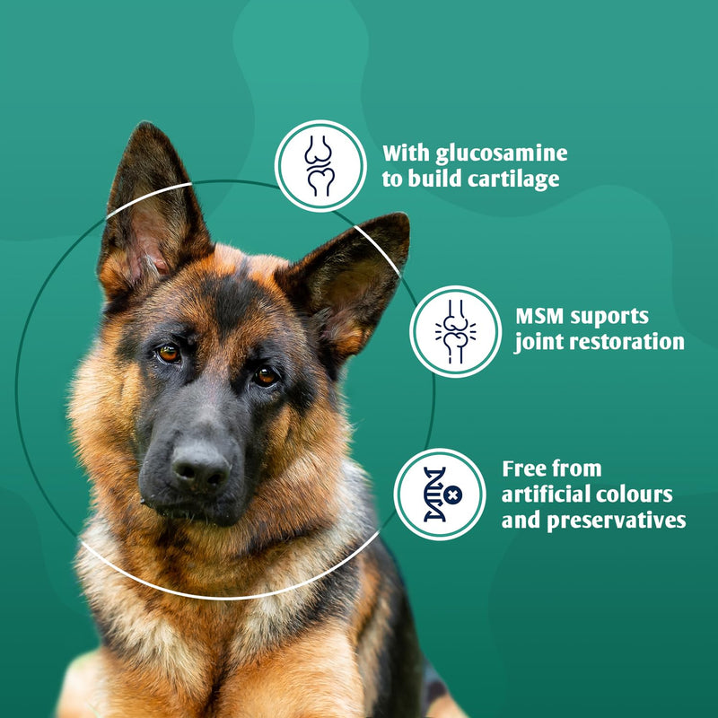 Glucosamine and MSM Dog Nutritional Supplement - Joint Care - 55 tablets - for stiff joints and healthy collagen growth