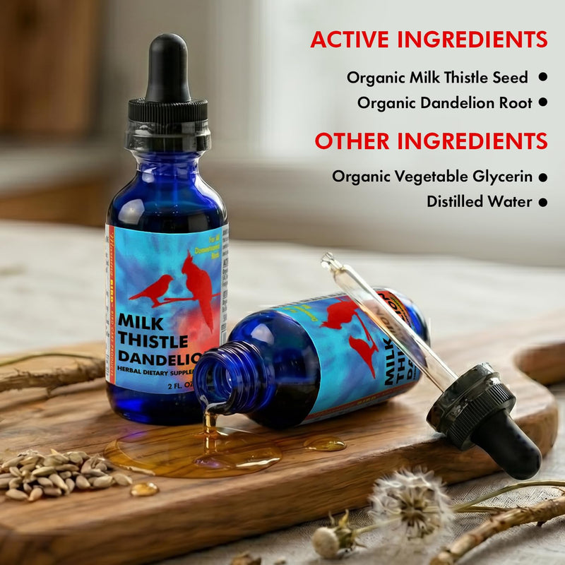 Morning Bird Milk Thistle & Dandelion Extract 1 fl oz – Organic Herbal Supplement for Birds – Supports Liver Health & Natural Detox – Suitable for All Bird Species
