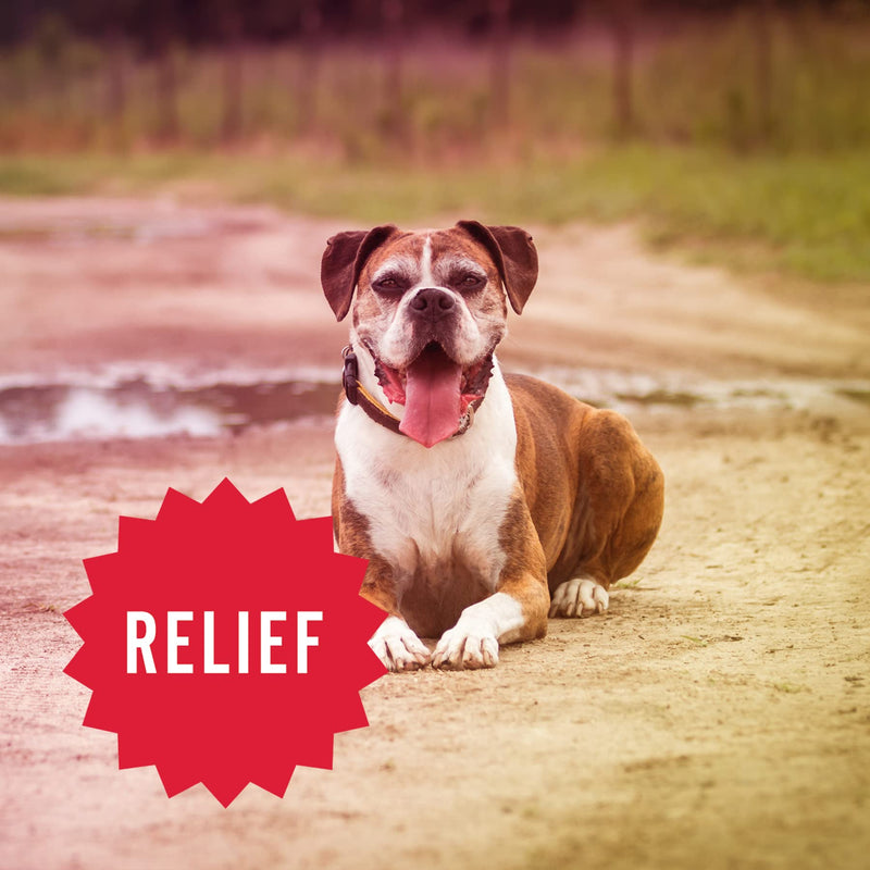 Hemp Well Hemp Relief Dog Soft Chews – Organic Hemp Soft Chews for Dogs, Dog Hip and Joint Supplement for Long Lasting Mobility Support, Calming Dog Anxiety Relief (1 Pack) 1 Pack (60 chews) - PawsPlanet Australia
