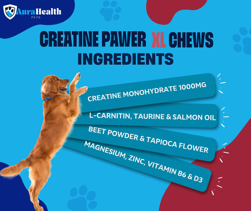 CREATINE PAWER 120 XL Chews up to 4-month supply for Working, Senior, & Injured Dogs 14-in-1 XtraStrength: Creatine, L-Carnitine & Taurine. Muscles, Performance, Energy & Recovery, Salmon Flavour