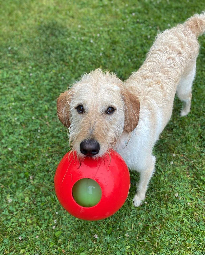 Jolly Pets Teaser Ball Dog Toy, Medium/6 Inches, Red Medium (6 in) - BeesActive Australia