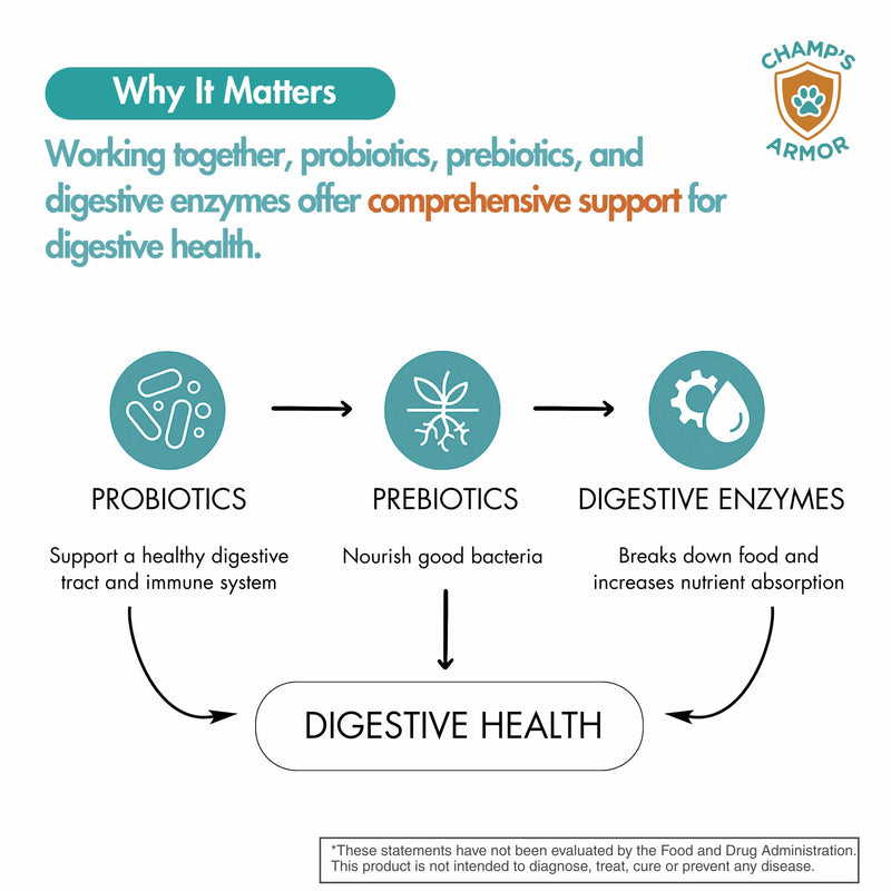 Probiotics for Dogs with Digestive Enzymes - 2.4 Billion CFU Dog Probiotic Supplements for Upset Stomach, Digestive Health, Diarrhea Relief - 60 Chicken Flavor Chews