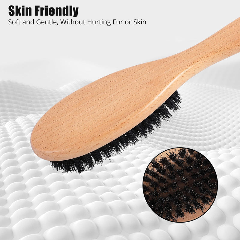 Boar Bristle Cat Brush with Wooden Handle, Soft and Gentle, Reduce Shedding, Make Coat Soft, Smooth and Shinny, Daily Grooming Tool for Short Haired Cats, Kitten Wood - BeesActive Australia
