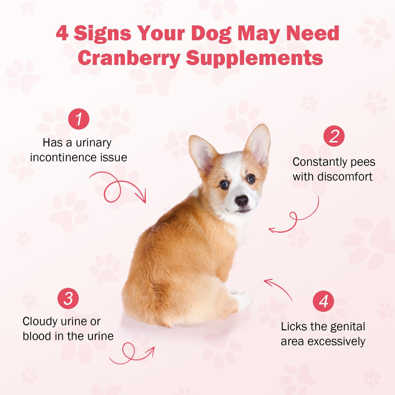 Cranberry for Dogs, 120 Chewable Tablets, UTI Treatment for Dogs, Urinary Tract Support, Promote Kidney and Bladder Health, Cranberry Supplement for Dog