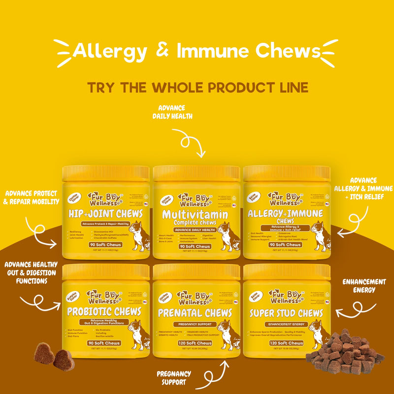 Allergy & Immune Support for Dogs Anti-Itch - Provide Seasonal Allergy Relief, Dog Probiotics for Itchy Skin, Ears, Eyes, and Stops Paw Licking - 90 Soft Chews