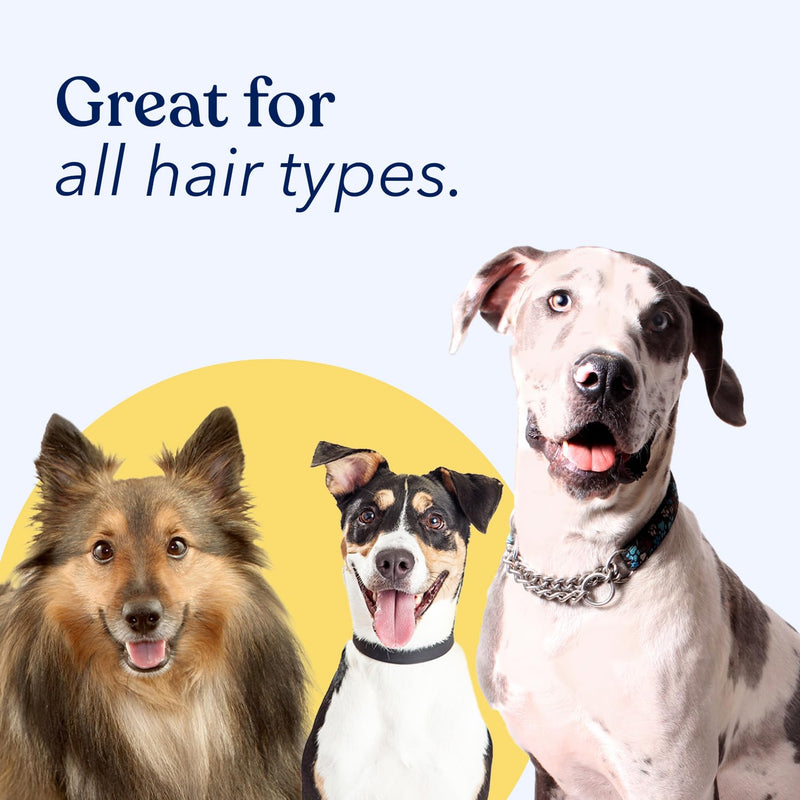 Honest Paws Dog Dry Shampoo - Waterless No Rinse Foaming Formula Reducing Itch Cleanse Hydrate Nourish Dry Skin and Smelly Coat Help Decrease Odor Shedding and Allergies - Oatmeal & Lavender - 8 oz Oatmeal & Lavender - 8oz - BeesActive Australia