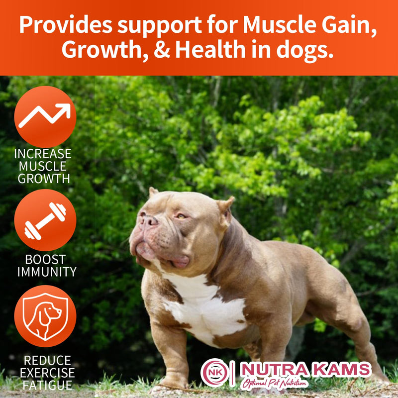 Muscle Chews for Dogs, Natural Collagen & Amino Acids, Lamb Flavor, 120 Soft Chews