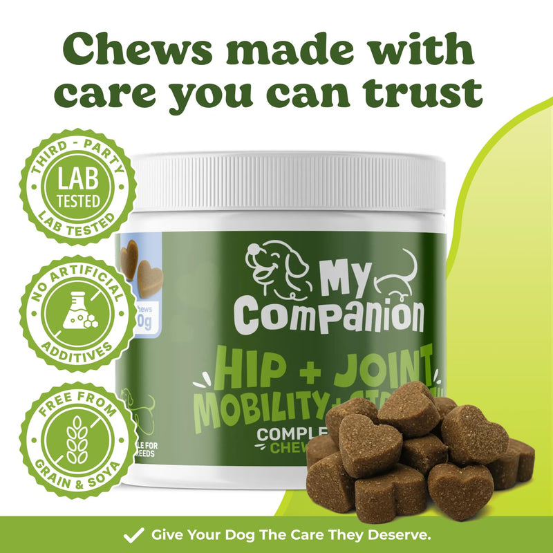 MyCompanion Hip & Joint Supplement for Dogs – Glucosamine, Turmeric & MSM – Supports Mobility, Flexibility & Joint Health – 120 Chicken Flavour Chews, 300g