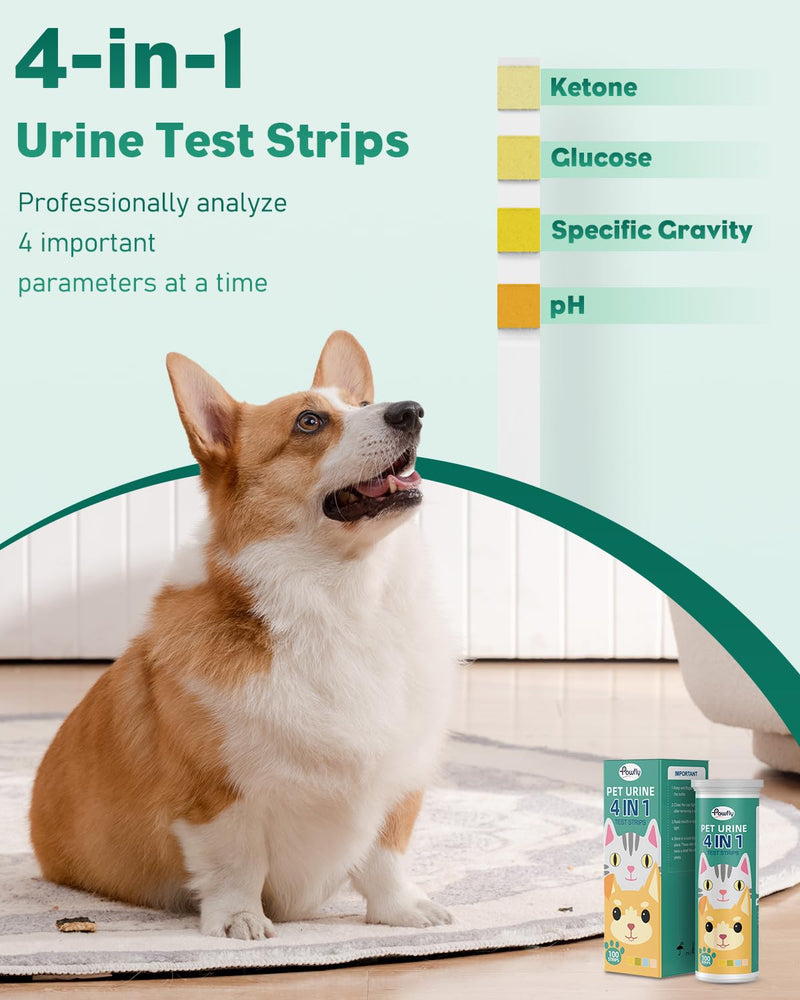 Pawfly Urine Test Strips, 100 Strips, Pet Urine Testing Strips for Ketone, Glucose, Specific Gravity & pH, Urinalysis Test Strips for Vets 4 in 1