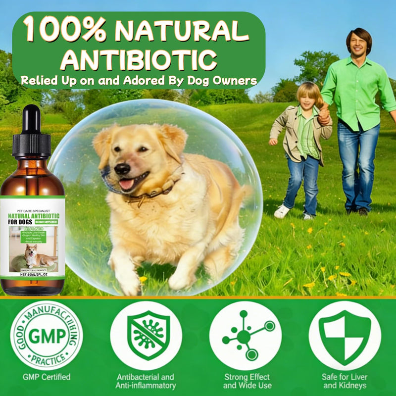 Natural Dog Antibiotics for Dogs, Dog Antibiotics Drops for Itchy Skin Supports Allergy Relief Allergies Ear Infections Coughs Vet, Non Irritating Anti-Fungal - Bacon Flavor (60ML) 60 millilitre
