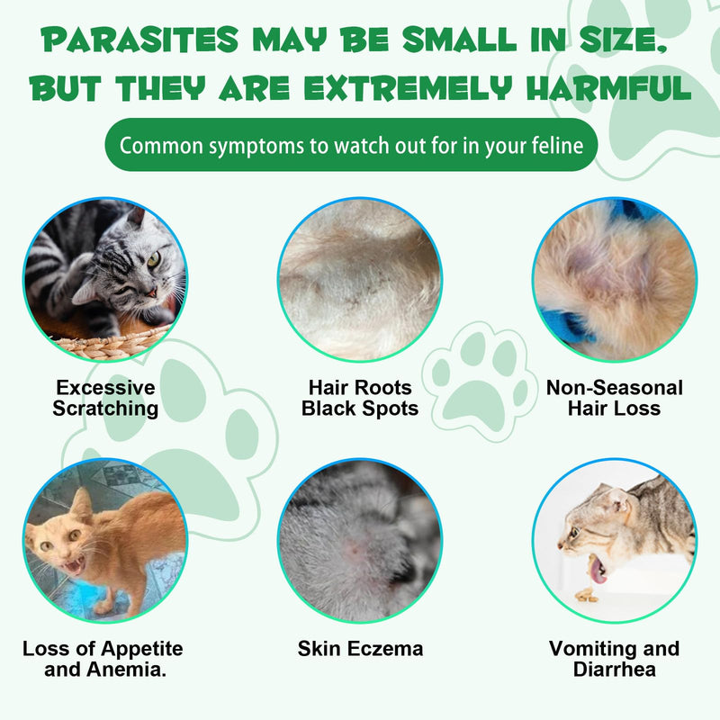 60ml Worm Treatment for Cats - Cat Worm Drops - Herbal Dewormer with Probitics - Improve Digestion, Immunity Boost - Anti-Parasite, Broad Spectrum Hookworms - Safe, Effective - BeesActive Australia