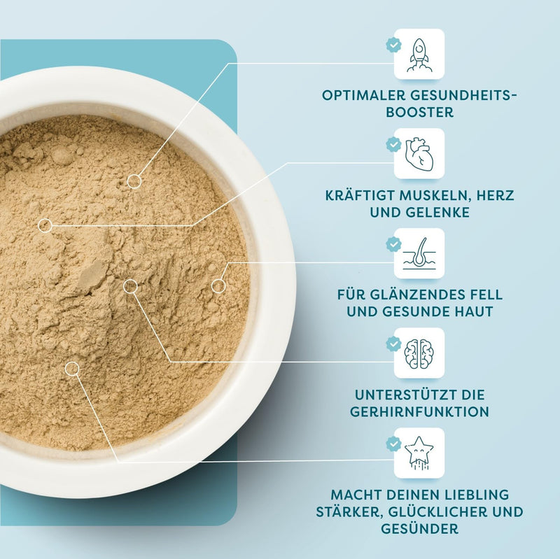 Dr.SAM WonderCat - health powder for cats - high-dose nutritional supplement for joints, intestines, stress, teeth, skin and fur, 100% herbal all-round care, made in Germany, 45g cat - BeesActive Australia