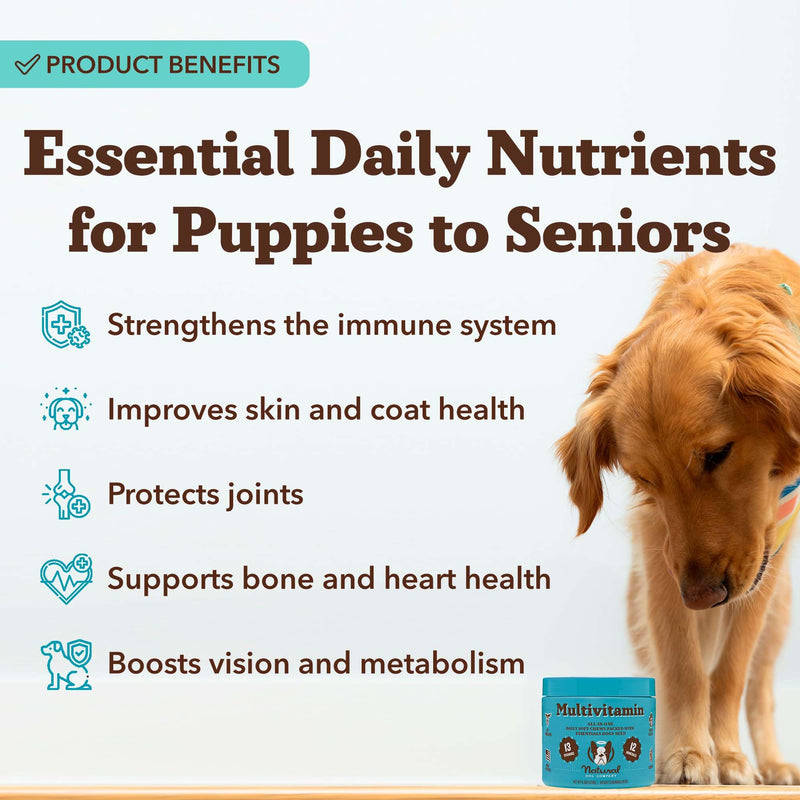 Natural Dog Company 25-in-1 Multivitamin for Dogs – Vet-Formulated Soft Chews for Puppies, Adults & Seniors, Supports Joints, Skin, Coat, Immune & Heart Health, NASC Certified, 180 Count