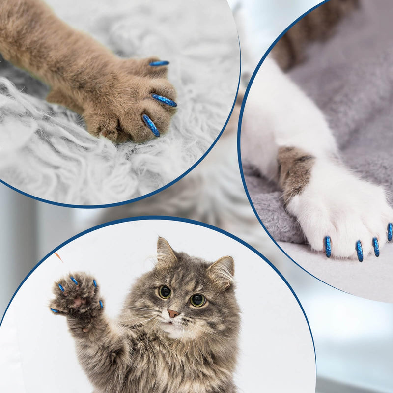 Cat Nail Caps with Glue - 20pcs Pet Kitten Cat Claw Caps Cat Claw Covers for Small Medium Large Cats - Crystal Blue M - BeesActive Australia