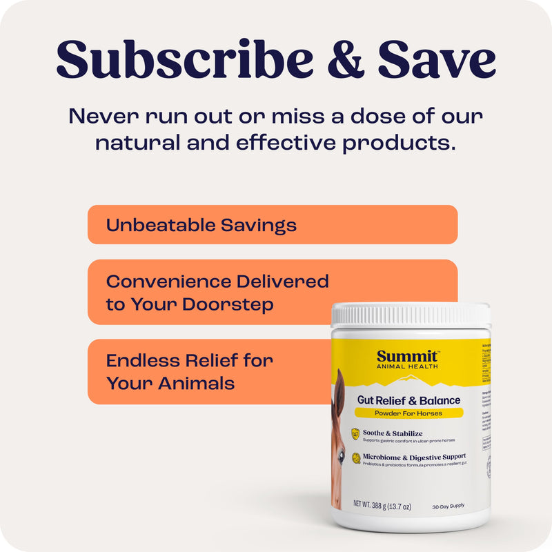 Gut Relief & Balance