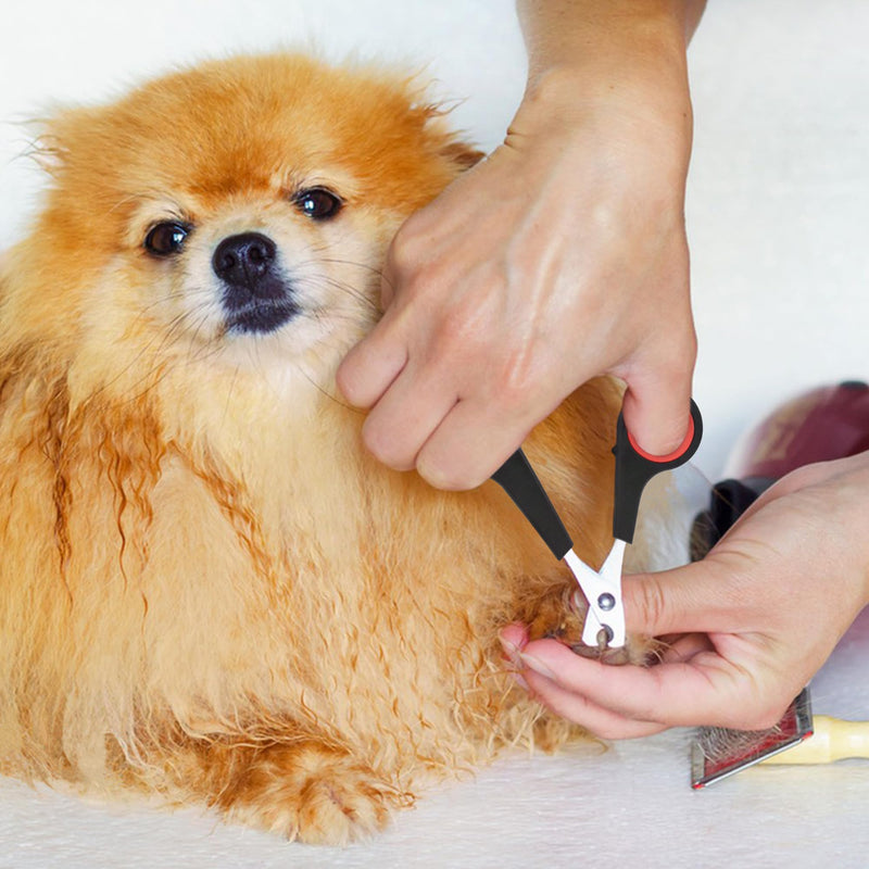 Quacc Professional Cat Nail Clipper Non-Slip Big Handles Claw Trimmer Safe Sharp Stainless Steel Scissor Small Pet Animal Grooming Clipper for Small Dogs, Puppies, Rabbits, Birds - BeesActive Australia