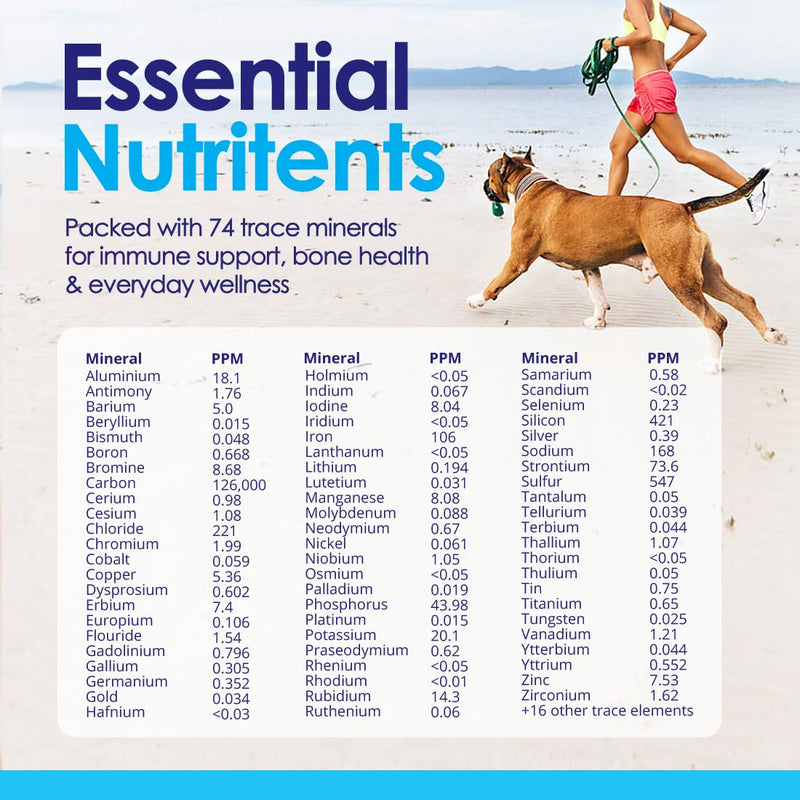 Advanced Glucosamine Powder for Dogs for Arthritis Pain Relief & Hip Dysplasia, Supports Joint Health & Reduces Inflammation with Glucosamine, Chondroitin, MSM & Coral Calcium, 6oz Powder - BeesActive Australia