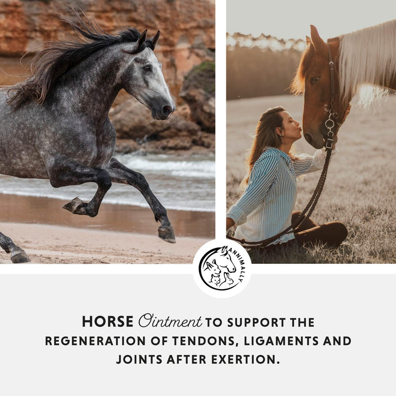 Annimally Horse Balm 500 ml - Cooling & Warming Care Gel, Two-Phase Formula for Muscles, Tendons & Ligaments, with Menthol, Wintergreen Oil, Rosemary & Mint, Made in Germany