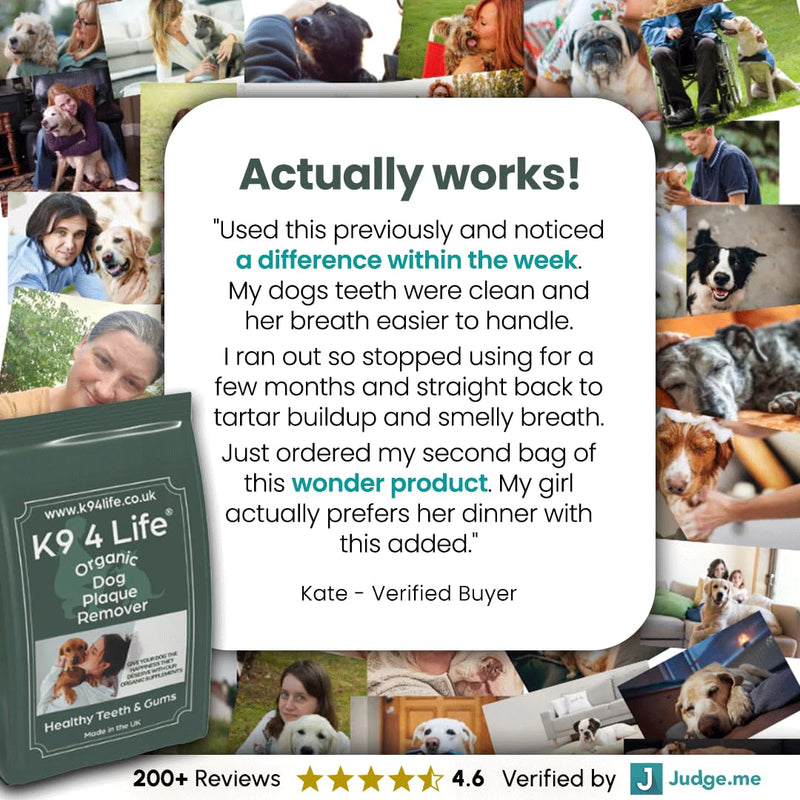 Plaque Off and Tartar Remover for Dogs 180g Dental Care for Healthy Teeth and Gums, Up to 6 Months Supply and Better than Water Additive - 100% Organic with No Chemicals - Made in the UK