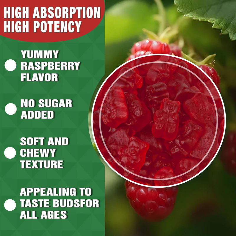 High Absorption Calcium Magnesium Zinc Gummies, Sugar Free Calcium Magnesium Zinc Supplement with D3 | Bone & Teeth Strength | Muscle & Nerve Function | Vegan | Raspberry Flavor | 2 Pack 2pack
