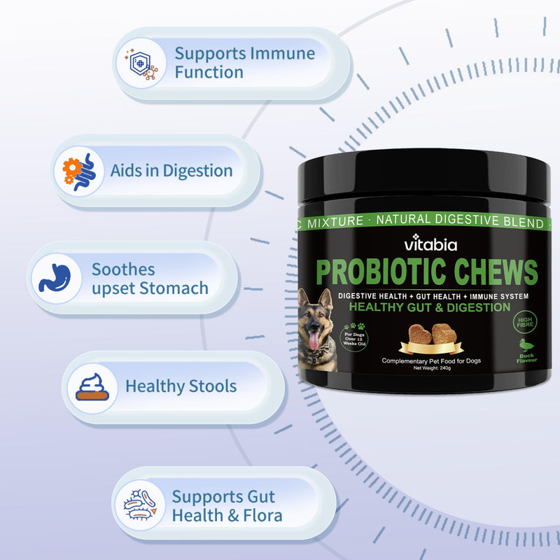 Probiotics for Dogs with Prebiotic Fiber - Dog Probiotics Gut Health Chews for Digestion, Anal Gland Care & Skin Support with Pumpkin & Psyllium Husk - Dog Supplements Duck Flavour (120 Count)