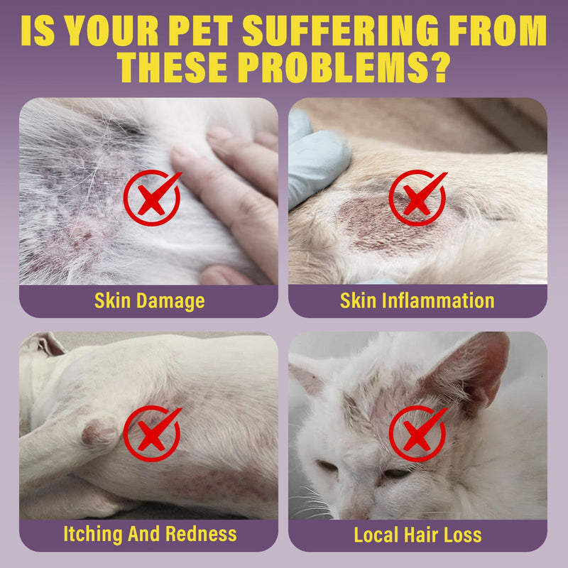 Dog collar, cute cat collar, against ticks, fleas and mosquitoes, waterproof animal collar, one year long-term protection - BeesActive Australia