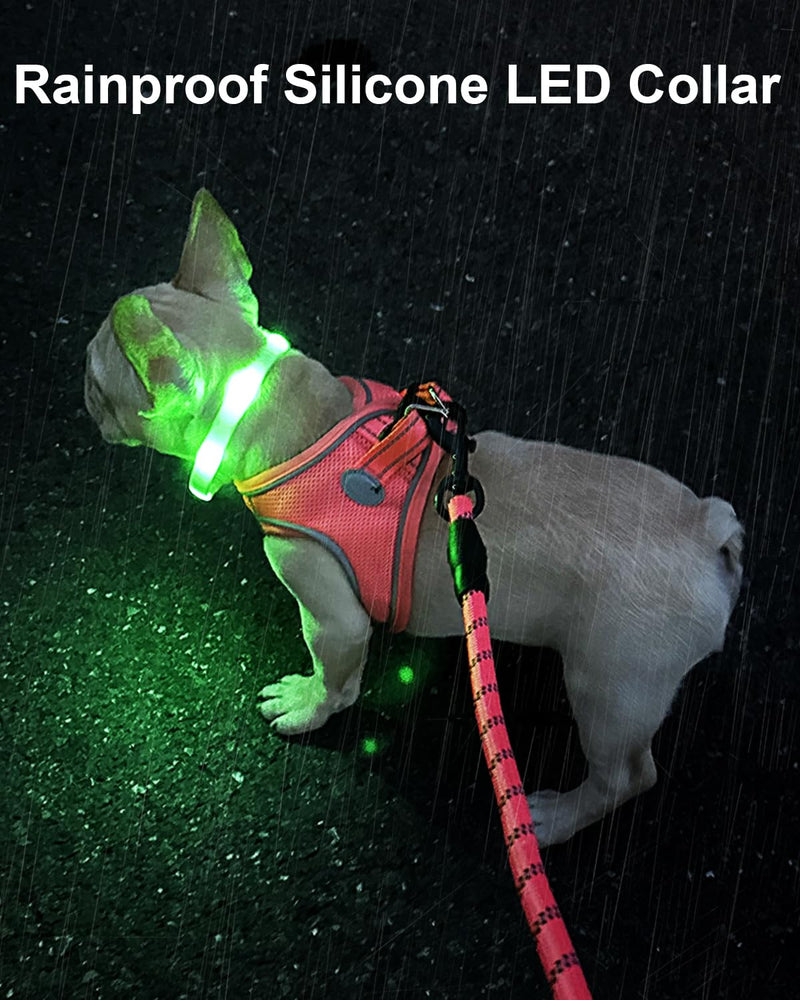 Joytale Luminous Dog Collar, Luminous Rechargeable Dog Collar, Adjustable Length LED Dog Collar with 9 Light Modes, Rainproof Dog Luminous Collar for Small and Medium Dogs, 45 cm Multicolored - BeesActive Australia