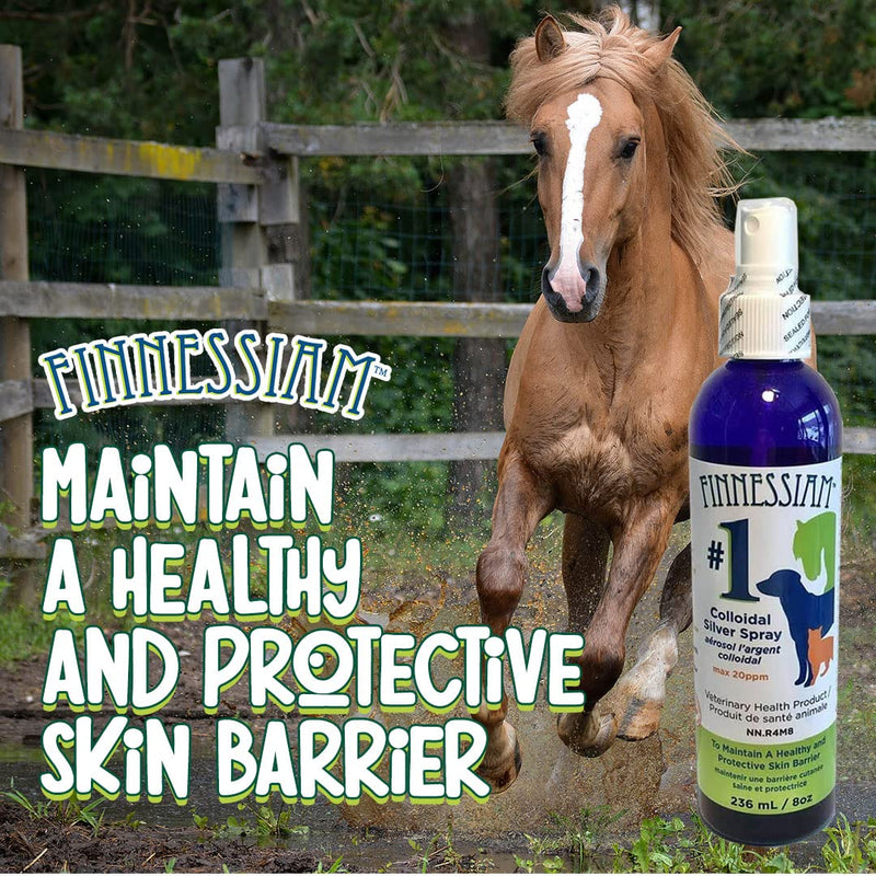 Colloidal Silver Wound and Skin Care Spray for Dogs Cats Horses, Safe to use Around Eyes, Cuts, Scratches, Burns - 8 oz - BeesActive Australia