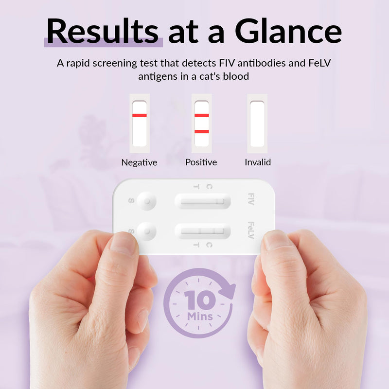 getTested Virus Combo FIV and FeLV Test for Cats, At-Home, Rapid Antigen Test Kit for Kittens and Cats, Easy Blood Screening, Fast, Accurate Results in 10 Minutes