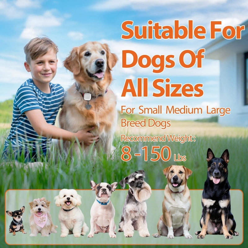 Dog Training Device No Shock, Dog Training Collar Clip with Remote, Safe & Humane Vibrating Dog Clicker, One-Touch Operation, for Beginner Dog Trainer for 5-15 lbs Small Medium Large Dogs - BeesActive Australia