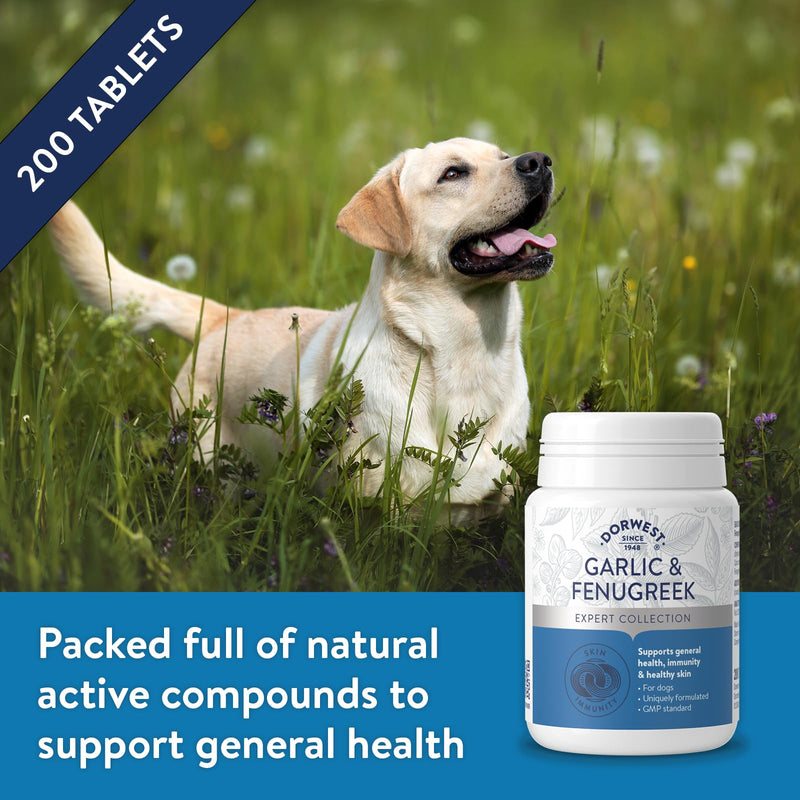 Dorwest Herbs Garlic and Fenugreek Tablets for Dogs 200 Tablets Garlic,Herbal 200 Count (Pack of 1)