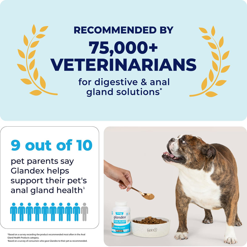 Glandex Dog Fiber Supplement Powder for Anal Glands with Pumpkin, Digestive Enzymes & Dog Probiotics for Digestive Health - Vet Recommended - Boot The Scoot (Beef Liver, 2.5oz Powder) Beef Liver 2.5 oz - BeesActive Australia