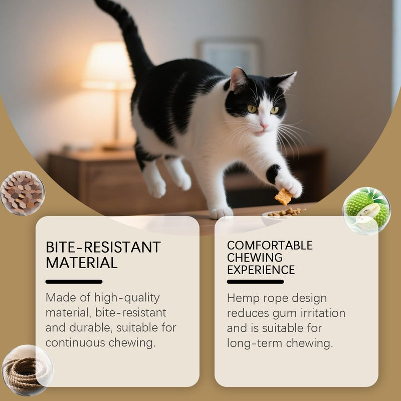 6 Pcs Matatabi Silvervine Chew Sticks,Cat Toys Silvervine Sticks,Cat Grinding Stick & Chew Toy for Dental Health, Natural Catnip & Silvervine Cat Toy for Indoor Cats Kitten Teething Chew Toys