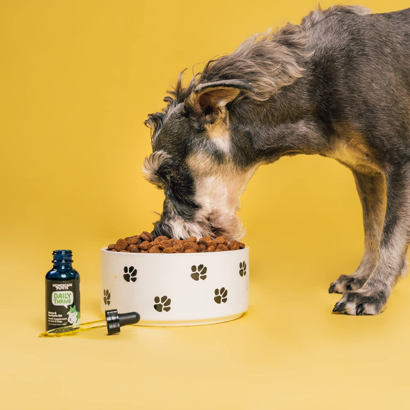 Homescape Pets - Daily Thrive - Hemp & Turmeric Oil for Cats & Dogs - Anti-Inflammatory, Calms Aches & Pain - Enhances Energy, Supports Immune System - with Organic Curcumin