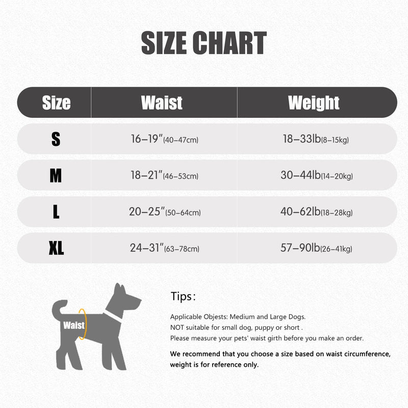 Dotoner Dog Lifting Harness, Dog Support Harness for Hind Legs, Soft Dog Support Loop for Injured Disabled Small, Medium and Large Dogs, Dog Strap for Hind Legs (Gray, L) L (Pack of 1) Grey - BeesActive Australia