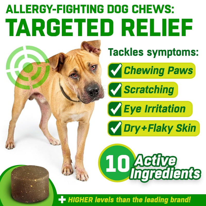 Anti Itch Chews for Dogs | Allergy Relief with Quercetin | 10-in-1 Probiotics, Omega 3, Colostrum & Astragalus | Real Meat Soft Chews, Grain Free | 150 Chews