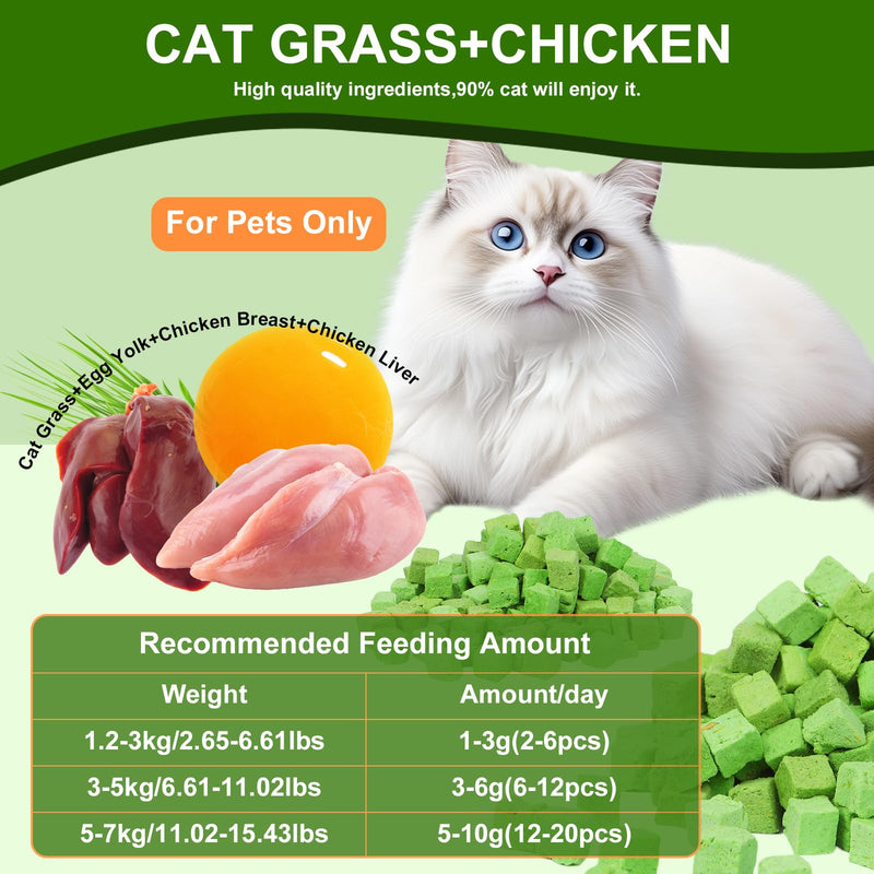 100g Freeze-Dried Cat Grass Treats, Natural Hairball Treatment for Cats, Edible Cats Chew Toy Cat Treats Snack for Teething Cleaning Hairball Removal 3.53 Ounce (Pack of 1)