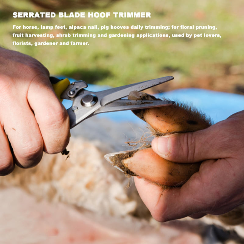 Farrier Tools Professional Farrier Tool Kits Hoof Rasp Hoof Nippers Hoof Knife Horses Hoof Trimmers Tools Suitable for Hoof Trimming for Horses/Donkeys Rasp Hoof Cutter Set - BeesActive Australia